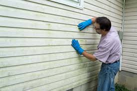 Best Wood Siding Installation  in Gainesville, FL